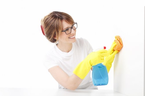 Deep carpet cleaning service removing stains and dirt