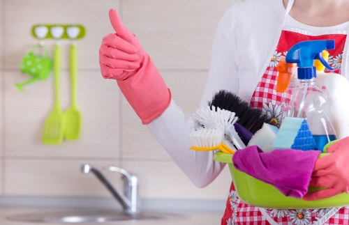 Deep cleaning equipment used for pet accident treatment