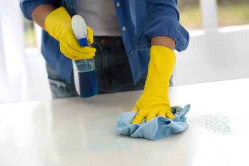 Technician reviewing a carpet cleaning issue report